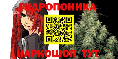 амфетамин Можга