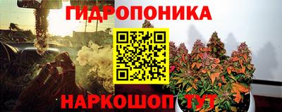 прущие грибы Можайск